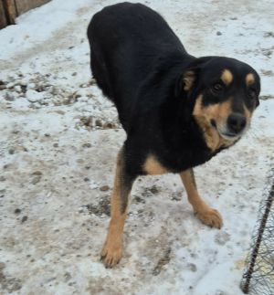 615896409 908706591652918 135118219945656990 n