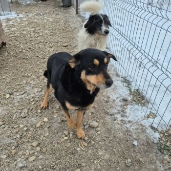 616092332 2056022308488702 2933703852808250244 n