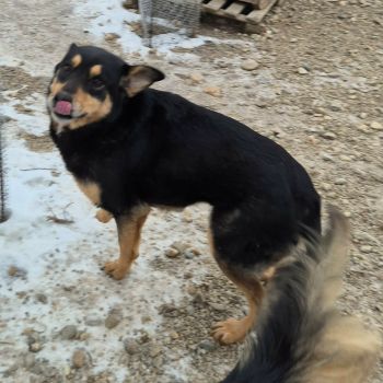 616451989 1203291948597127 4280982134242871271 n