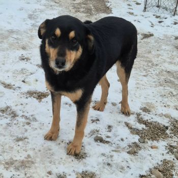 617034690 2646919609011070 2725040348962476571 n