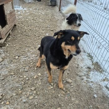 617535759 2024996664961196 3466611299801437131 n