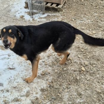 618055730 1532668507960578 8468141321119336255 n