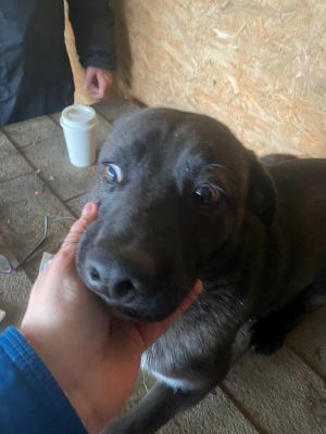 607080065 749772940961970 916135279822053798 n