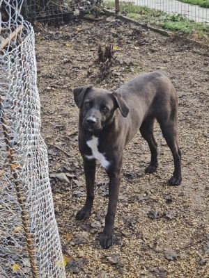 WhatsApp Bild 2025 11 22 um 10.42.00