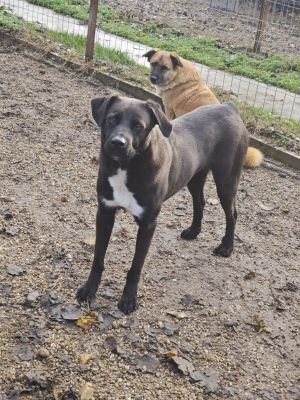 WhatsApp Bild 2025 11 22 um 10.42.03 51e16f84