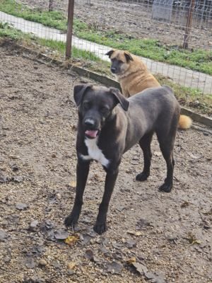 WhatsApp Bild 2025 11 22 um 10.42.03 efeaed3a