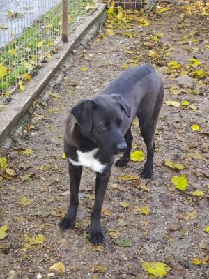 WhatsApp Bild 2025 11 22 um 10.42.04 a94ff0ca