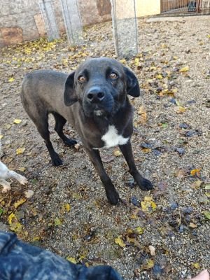 WhatsApp Bild 2025 11 22 um 10.42.04 b9e67bfe