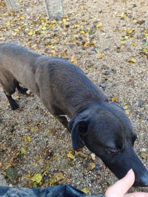 WhatsApp Bild 2025 11 22 um 10.42.04 ef99f92d