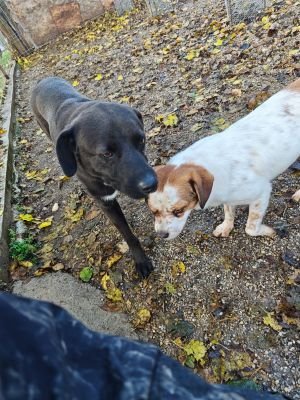 WhatsApp Bild 2025 11 22 um 10.42.05 c31a06da