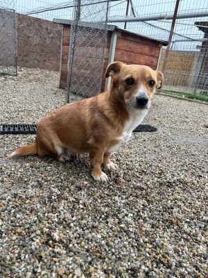 WhatsApp Bild 2025 11 20 um 10.38.15 102d9d52