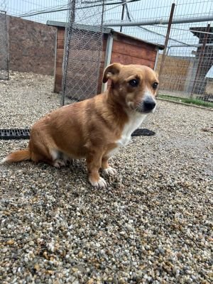 WhatsApp Bild 2025 11 20 um 10.38.15 b6bf2eae