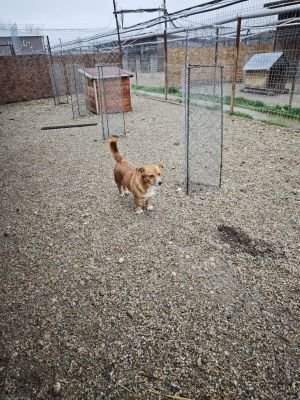 WhatsApp Bild 2025 11 20 um 10.38.40 39a947d2