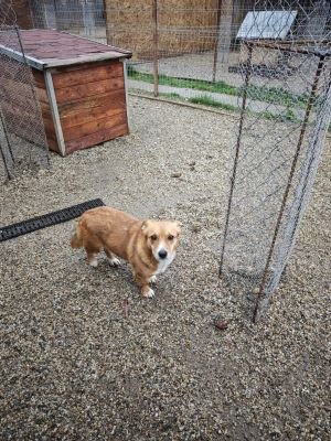 WhatsApp Bild 2025 11 20 um 10.38.40 4affd4d9