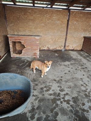 WhatsApp Bild 2025 11 20 um 10.38.41 124468d3