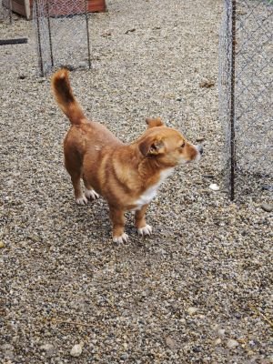 WhatsApp Bild 2025 11 20 um 10.38.41 e5a4e831