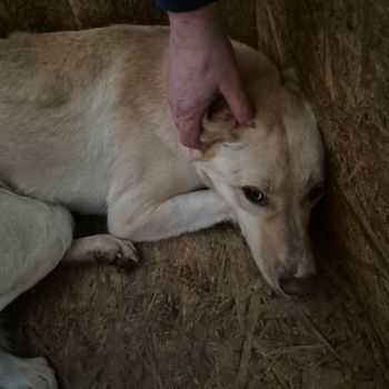 611573468 1226212378960758 1084488781164671024 n