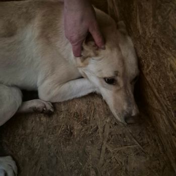 622759707 1534558507617695 8463675088417353528 n