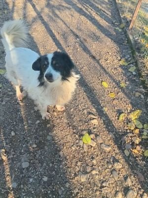 584953887 1539381297111050 2598811176482802889 n