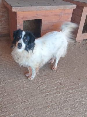 589304551 1392290392253879 2931432784476565055 n