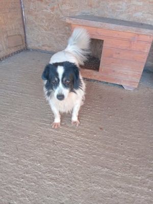 589813887 1457181628714043 1859508090990951153 n