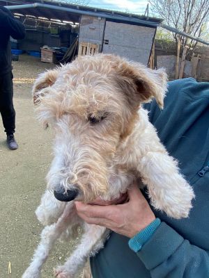 592771935 1379671107121514 4189386704081927719 n