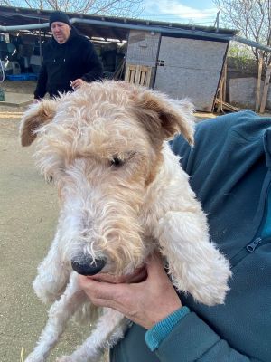 592794968 863366203265177 1926703237262553788 n