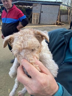 594523014 2807689142956138 6072780710809430805 n