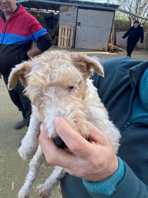 597276418 1341902897619297 310774842876437282 n