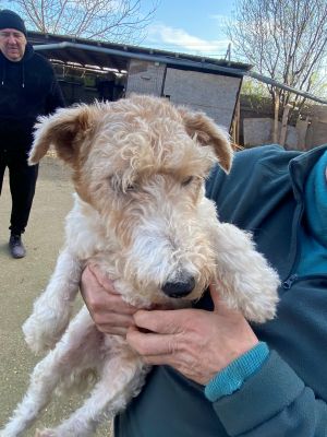 597300475 1563766608086914 7805549767202114022 n