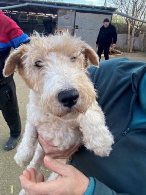 597408834 1499816497761854 6044447249767780520 n