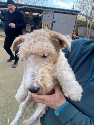 597416195 1590921242251223 6742138979950001560 n