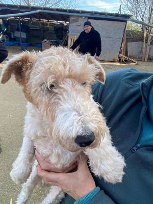 597431061 2372706883151847 4671997902414466122 n