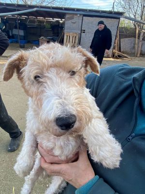 597602561 1480917226338653 3206245676536143575 n