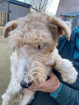 597757796 1576840399987315 8847615694724837308 n