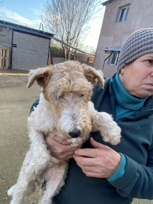 597889551 1178112680965496 3993256421085391980 n