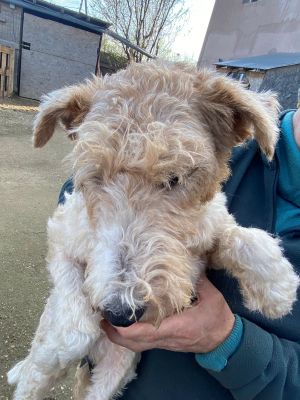 597932304 771985252660682 6472616402573568462 n