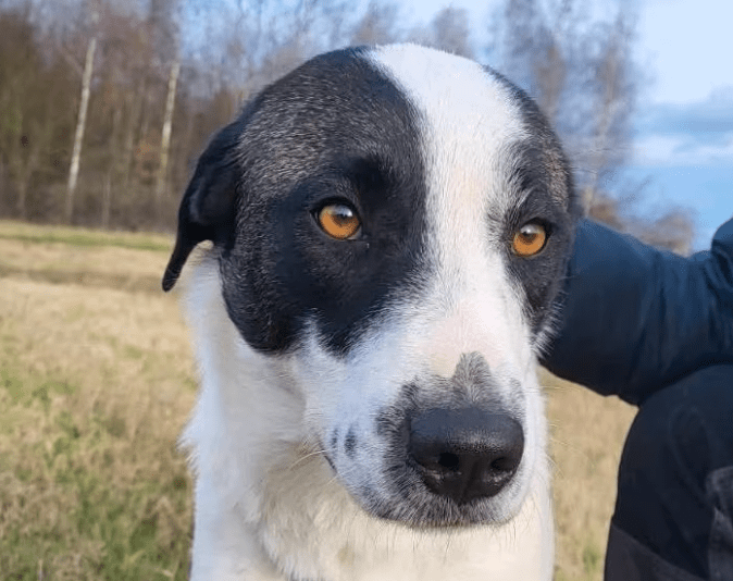 2025 12 02 10 50 12 Neue Rechnungen Bitte bearbeiten Nachricht (HTML)