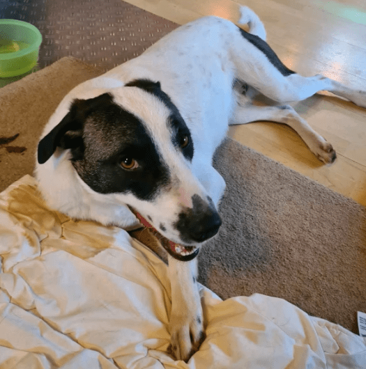 2025 12 02 10 50 17 Neue Rechnungen Bitte bearbeiten Nachricht (HTML)