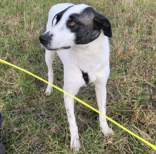 2025 12 02 10 50 23 Neue Rechnungen Bitte bearbeiten Nachricht (HTML)