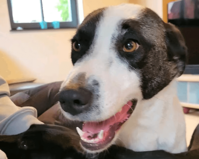 2025 12 02 10 50 27 Neue Rechnungen Bitte bearbeiten Nachricht (HTML)