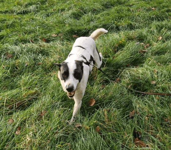 2025 12 02 10 50 38 Neue Rechnungen Bitte bearbeiten Nachricht (HTML)