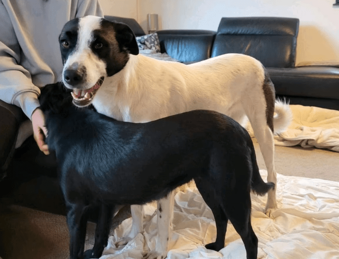 2025 12 02 10 50 43 Neue Rechnungen Bitte bearbeiten Nachricht (HTML)