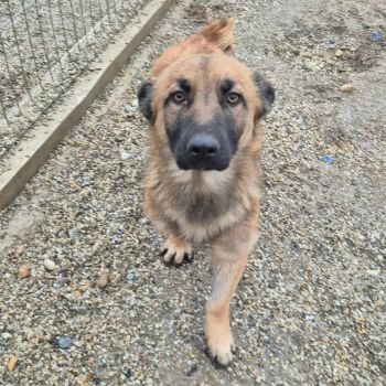 610491055 1444158300377845 6310352365927488965 n