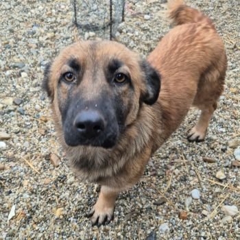 616837271 2066244977282270 1818773580981872017 n