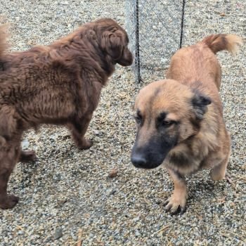 617705636 892978789888725 3529157589683792659 n