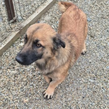 618653713 1399265648368974 2932379673429014590 n