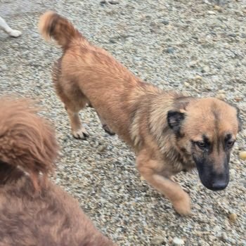 619293321 26743513725238082 105536530885889226 n