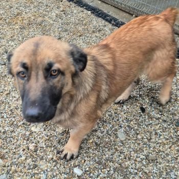 622002272 1262711955848477 977197396575329936 n