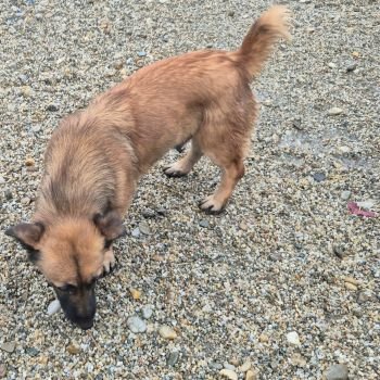 622558786 1204604005184934 2110956668948344345 n